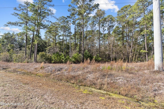 662 Bricklanding Rd SW, Shallotte NC, 28470 land for sale