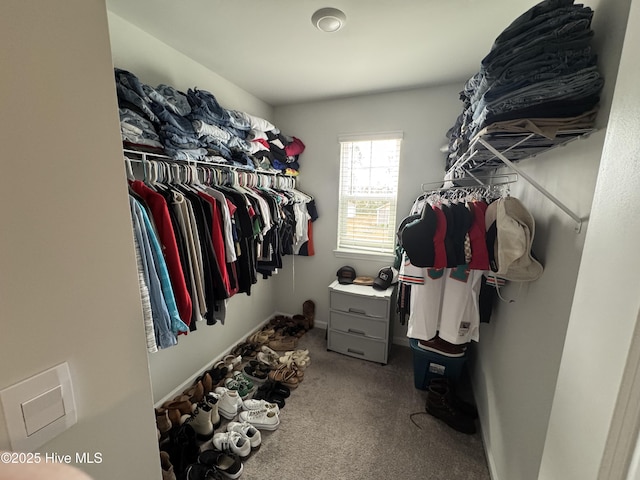 spacious closet featuring carpet floors