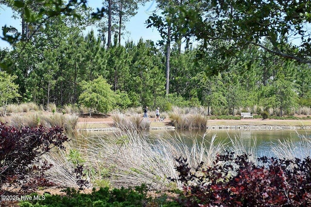 1115 Eldora Ct, Leland, NC 28451 - water view