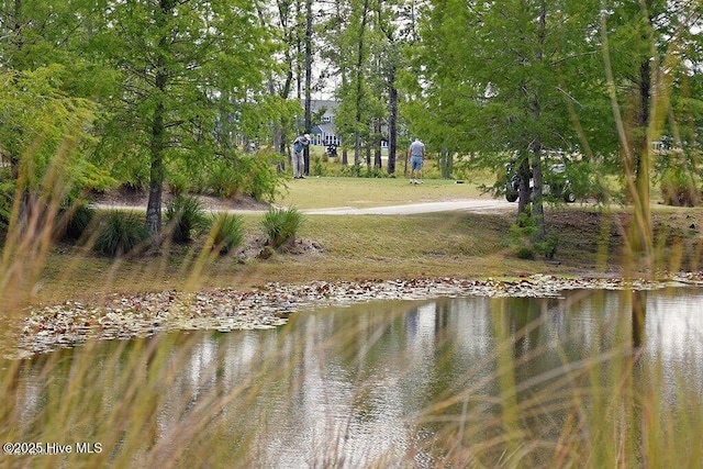 1115 Eldora Ct, Leland, NC 28451 - water view