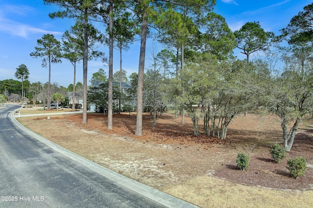 Listing photo 3 for 1512 Hidden Oaks Ln SE Unit 7B, Bolivia NC 28422