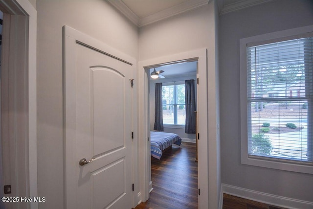 corridor featuring baseboards, ornamental molding, and dark wood-style flooring