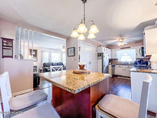 kitchen featuring white cabinets, plenty of natural light, ceiling fan with notable chandelier, and stainless steel appliances