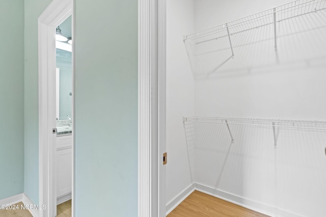 spacious closet featuring light wood-style flooring