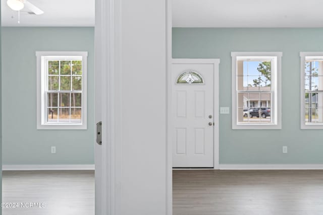 entrance foyer featuring a wealth of natural light, baseboards, and wood finished floors