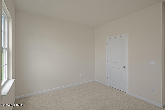 spare room with carpet, baseboards, and a wealth of natural light