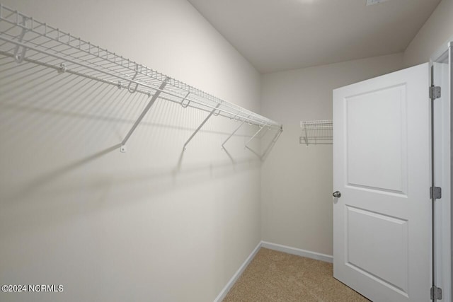 walk in closet with carpet floors