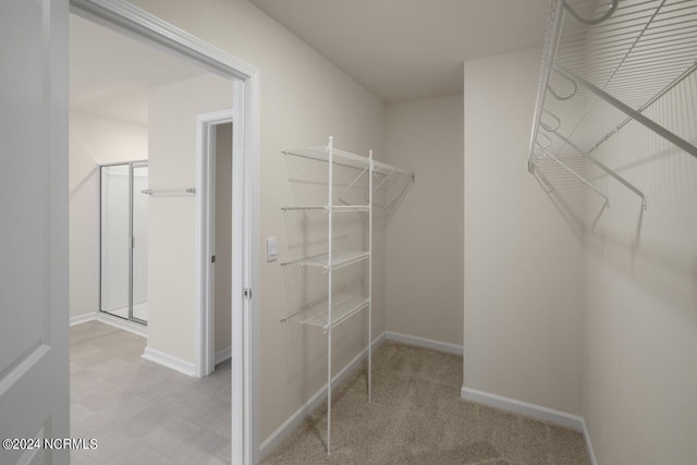 view of walk in closet