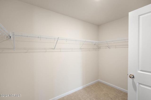 walk in closet featuring carpet