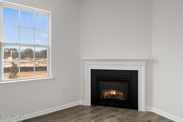 interior details with a glass covered fireplace, wood finished floors, and baseboards