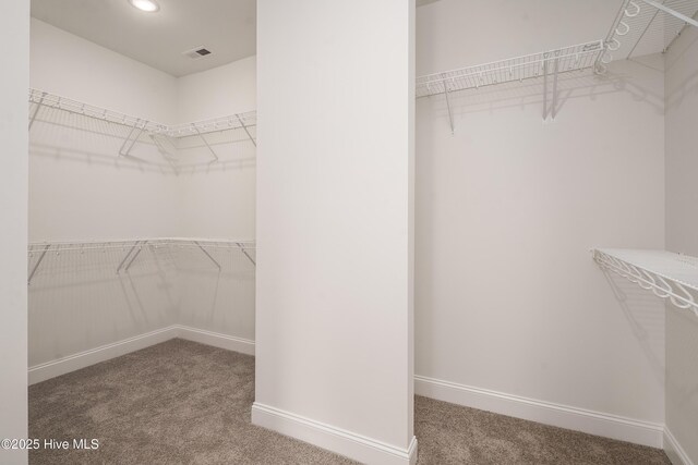 spacious closet with visible vents and carpet