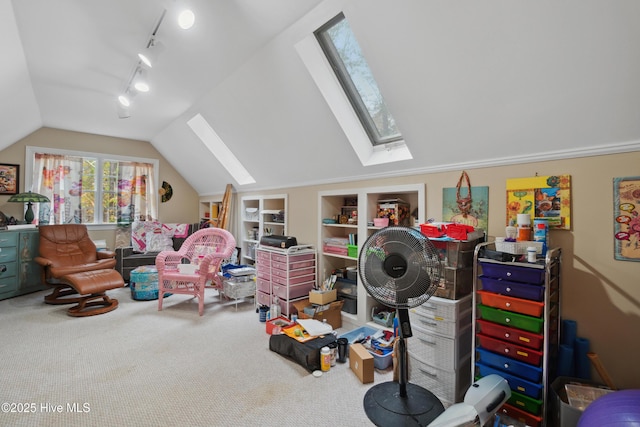 rec room featuring lofted ceiling with skylight, built in features, track lighting, and carpet floors