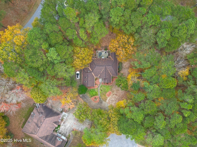 bird's eye view