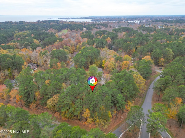 drone / aerial view featuring a forest view and a water view