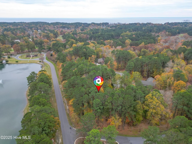 bird's eye view with a wooded view and a water view