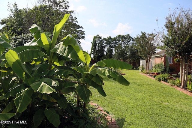 661 Main St, Swansboro, NC 28584 - view of green lawn