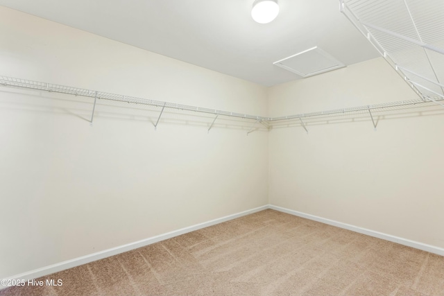 walk in closet featuring attic access and light carpet