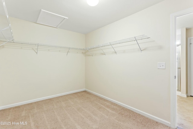 spacious closet with light colored carpet and attic access