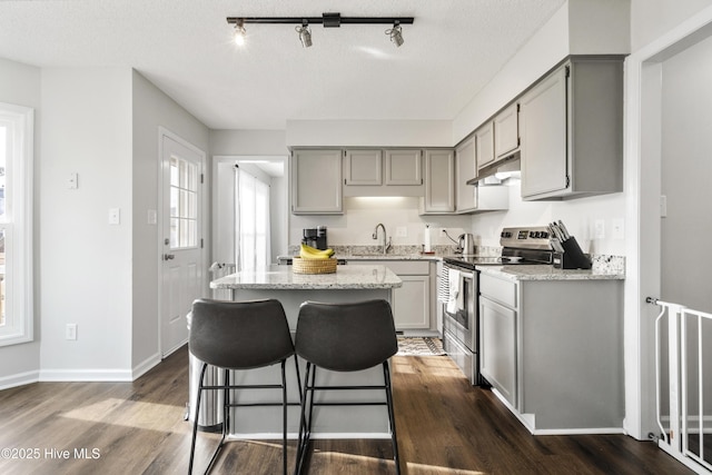 kitchen with electric stove, dark wood-style flooring, under cabinet range hood, and gray cabinetry