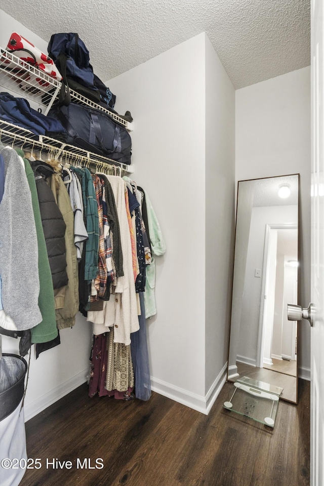 walk in closet featuring wood finished floors