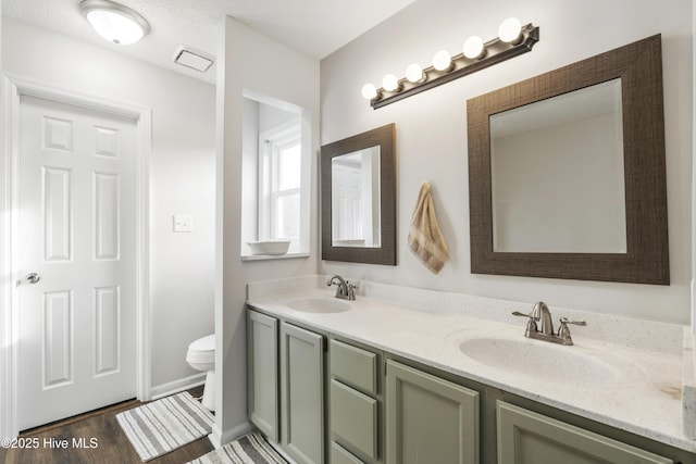 bathroom featuring a sink, toilet, wood finished floors, and double vanity