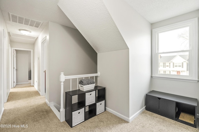 additional living space featuring visible vents, baseboards, carpet, and a textured ceiling