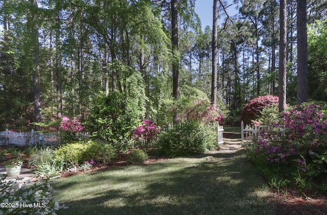 1335 Midland Rd, Southern Pines, NC 28387 - view of yard