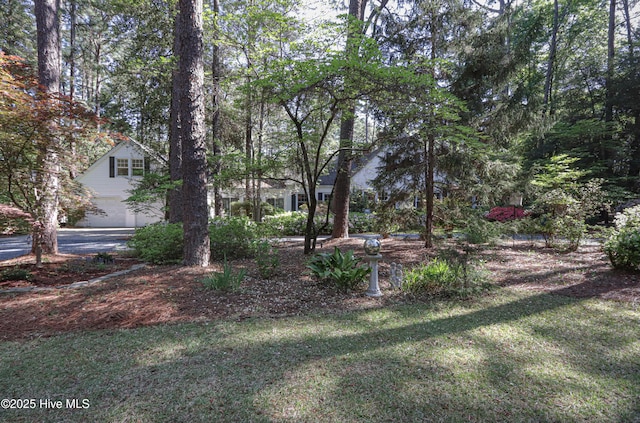 1335 Midland Rd, Southern Pines, NC 28387 - view of green lawn featuring a garage and driveway