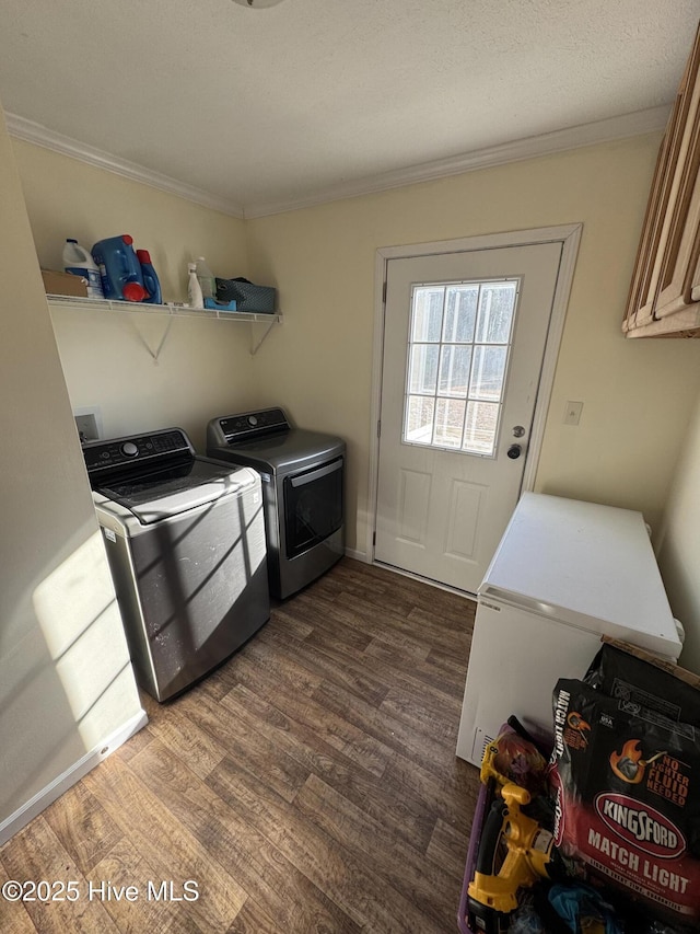 washroom with dark wood-style floors, ornamental molding, cabinet space, and washer and clothes dryer