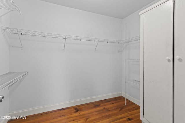 spacious closet featuring wood finished floors