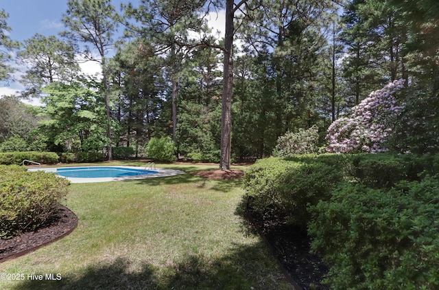 240 Donald Ross Dr, Pinehurst, NC 28374 - view of green lawn with an outdoor pool and a view of trees