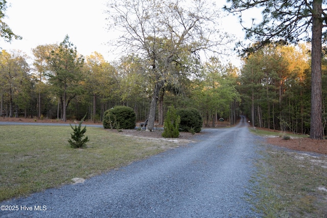 6680 Beulah Hill Church Rd, West End, NC 27376 - view of dirt / gravel road featuring a forest view