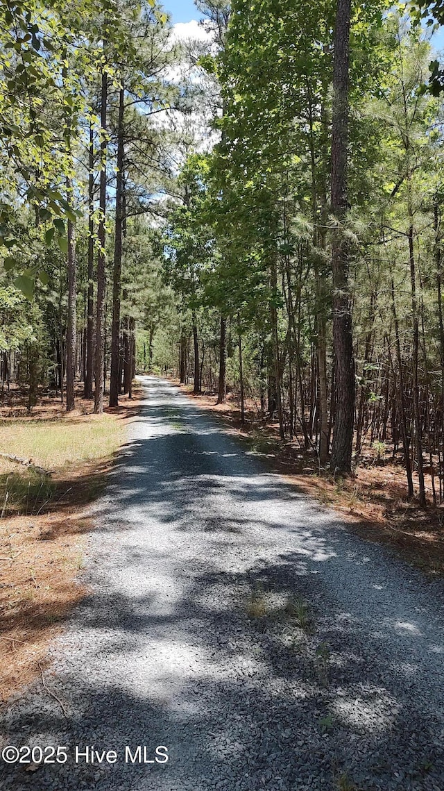 6680 Beulah Hill Church Rd, West End, NC 27376 - view of dirt / gravel road with a wooded view