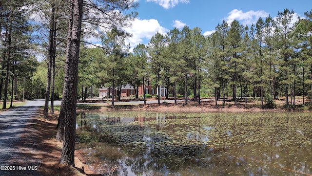 6680 Beulah Hill Church Rd, West End, NC 27376 - water view