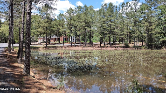 6680 Beulah Hill Church Rd, West End, NC 27376 - water view with a tree filled landscape