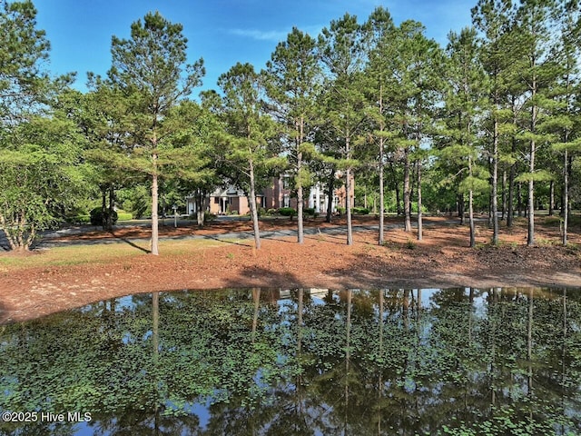 6680 Beulah Hill Church Rd, West End, NC 27376 - water view with a tree filled landscape