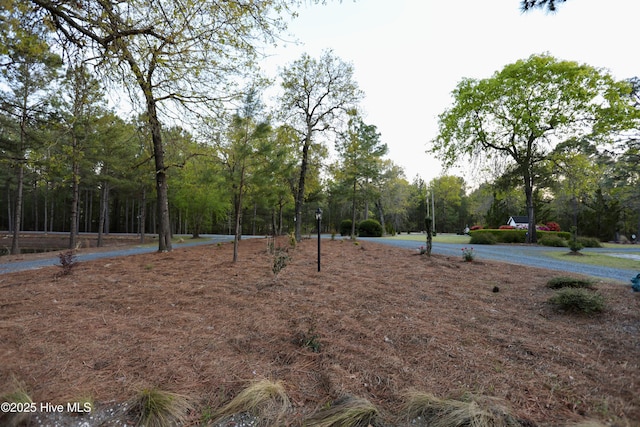 6680 Beulah Hill Church Rd, West End, NC 27376 - view of yard