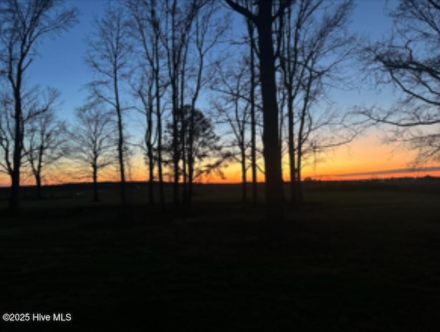 view of nature at dusk