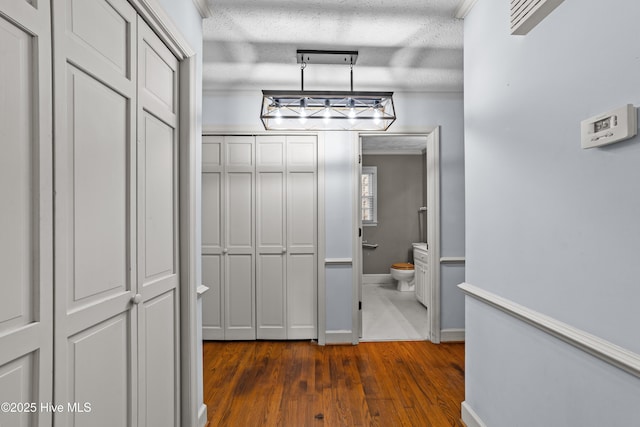 walk in closet featuring an inviting chandelier and dark wood-type flooring