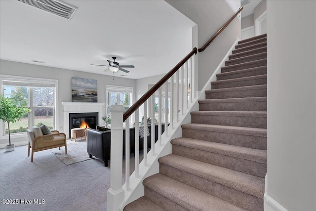 stairs featuring carpet, a healthy amount of sunlight, visible vents, and a ceiling fan