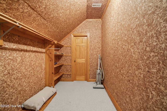 spacious closet with visible vents, lofted ceiling, and carpet floors