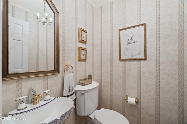 bathroom featuring toilet