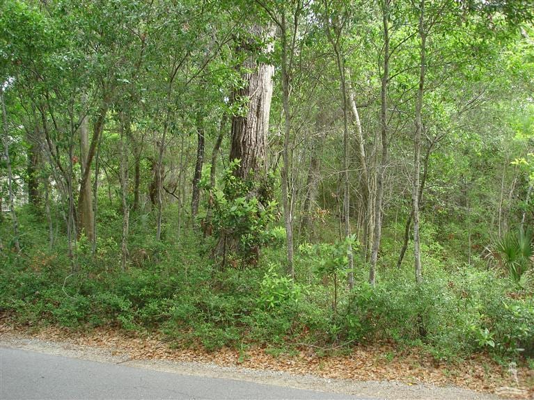 121 Edward Teach, Bald Head Island, NC 28461