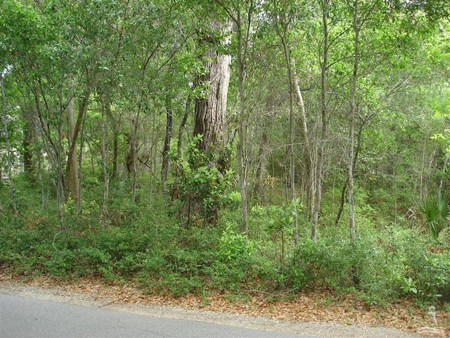 121 Edward Teach, Bald Head Island, NC 28461