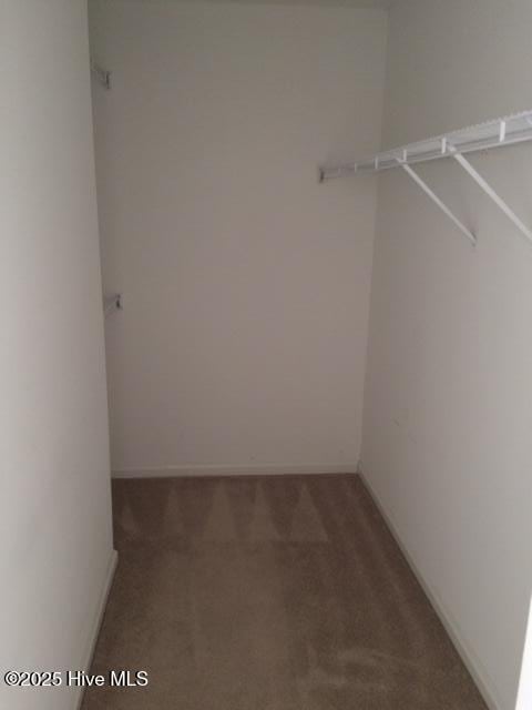 527 Spring Forest Rd Unit F, Greenville, NC 27834 - spacious closet featuring carpet