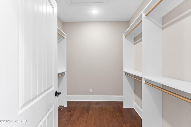 spacious closet featuring dark wood-style flooring