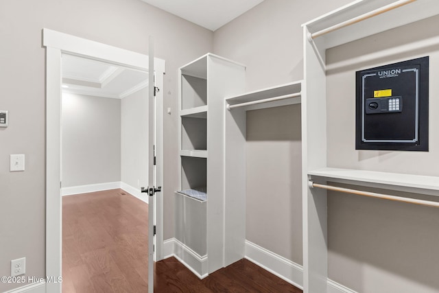 walk in closet featuring dark wood-style floors