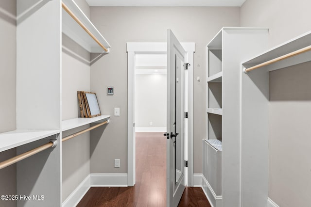 spacious closet with dark wood-type flooring