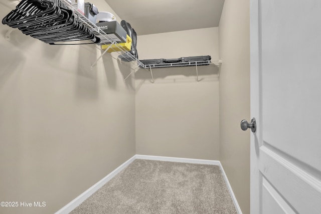 walk in closet with carpet flooring