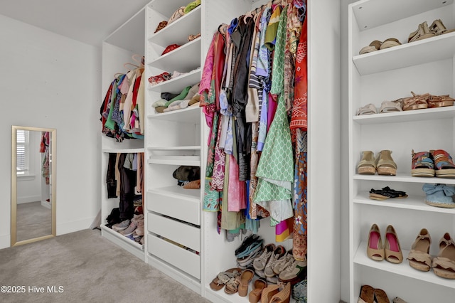 410 Sugar Cv, Wilmington, NC 28411 - spacious closet featuring carpet flooring
